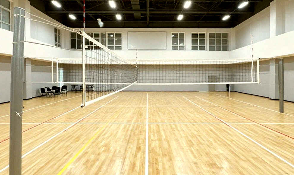 Khi máy móc trở thành nhà phân tích: Sự trớ trêu của ngành bóng chuyền thông minh