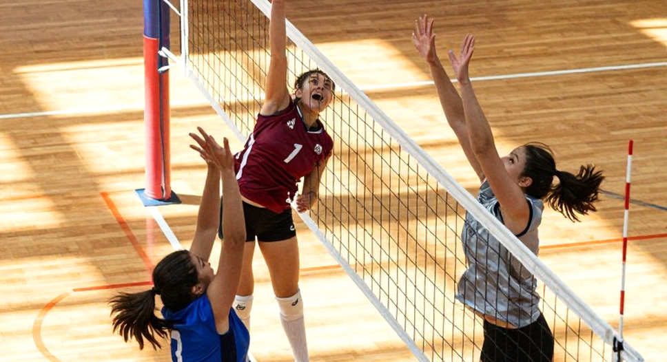 Brazil thống trị Nam Mỹ và giành vé Olympic bóng chuyền nữ: Chiến thắng thật, nhưng phép thử còn thiếu