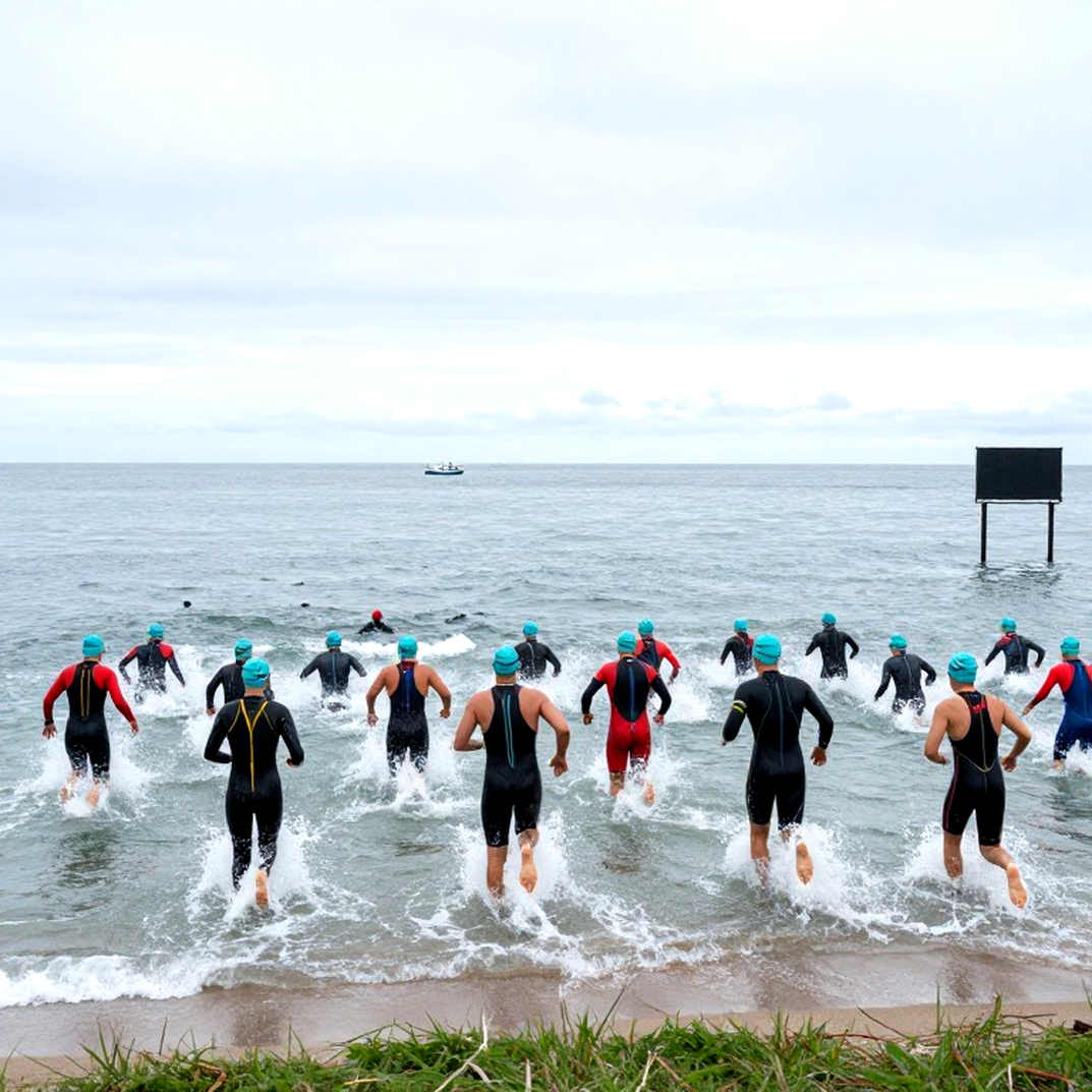 College Swimming League và tầng đấu mới của bơi đại học Mỹ