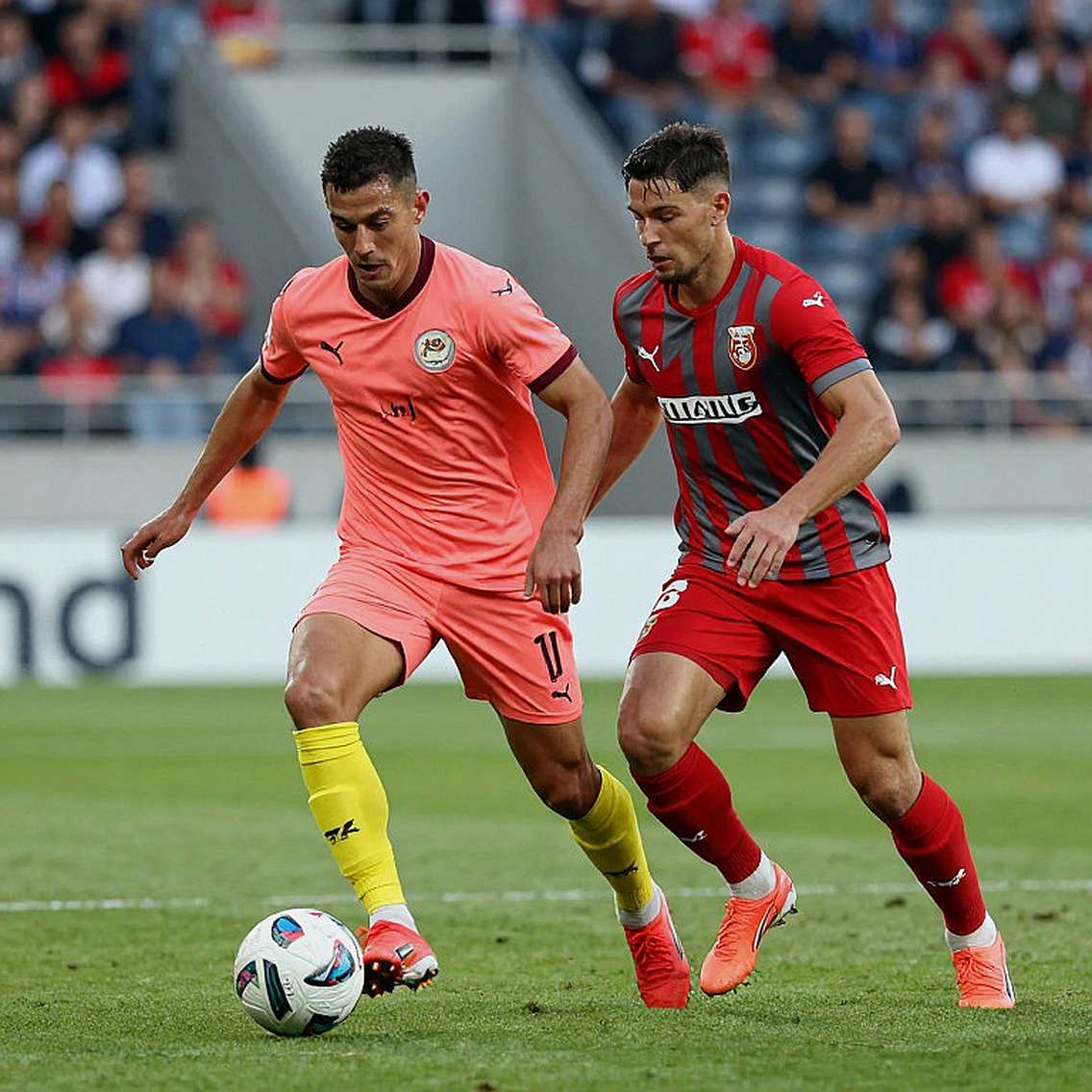 Adin Licina: đường biên, Cremonese và một lựa chọn chưa xong