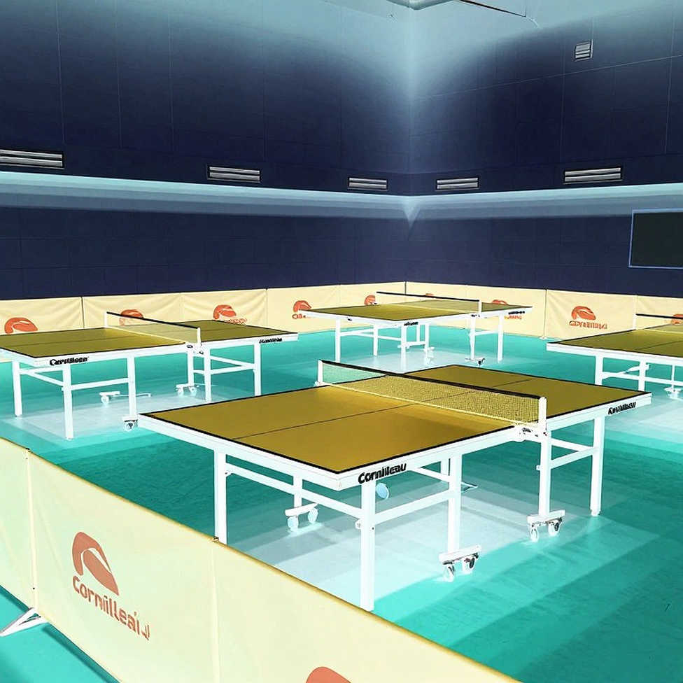 Five Decisive Changes in Table Tennis: When the Rules Rewrote a Generation's Career Five Decisive Changes in Table Tennis: When the Rules Rewrote a Generation's Career