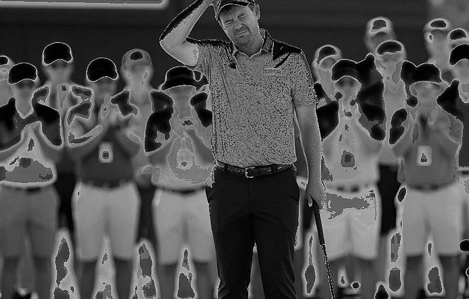 Anatomy of Golf Data: When Pretty Numbers Hide the Real Pulse Anatomy of Golf Data: When Pretty Numbers Hide the Real Pulse