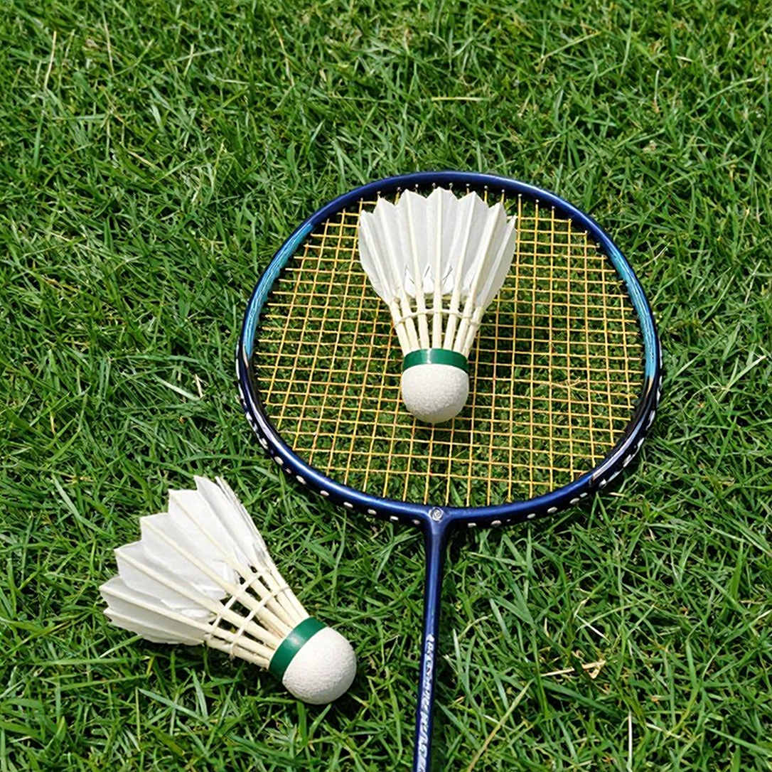 Nine Empty Cells: Vietnamese Badminton Is Short on Data, Not Talent Nine Empty Cells: Vietnamese Badminton Is Short on Data, Not Talent